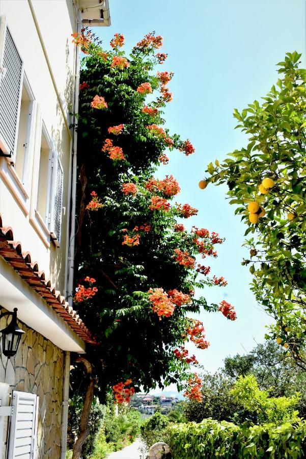 Dionysios Apartamento *