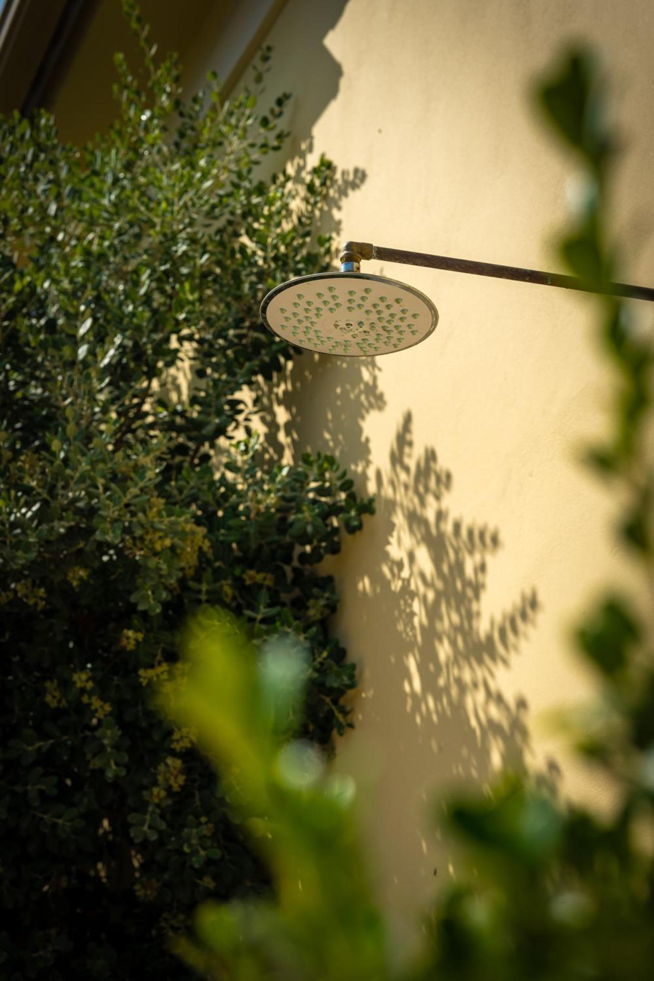 Apartment Dionysios *